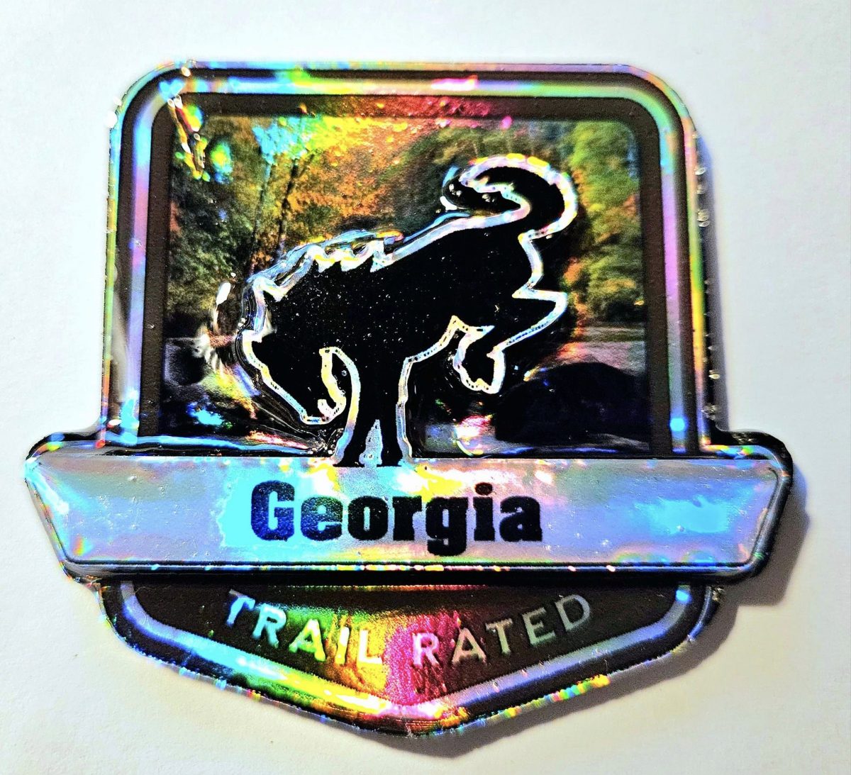 Georgia Trail Rated Bronco Medallion