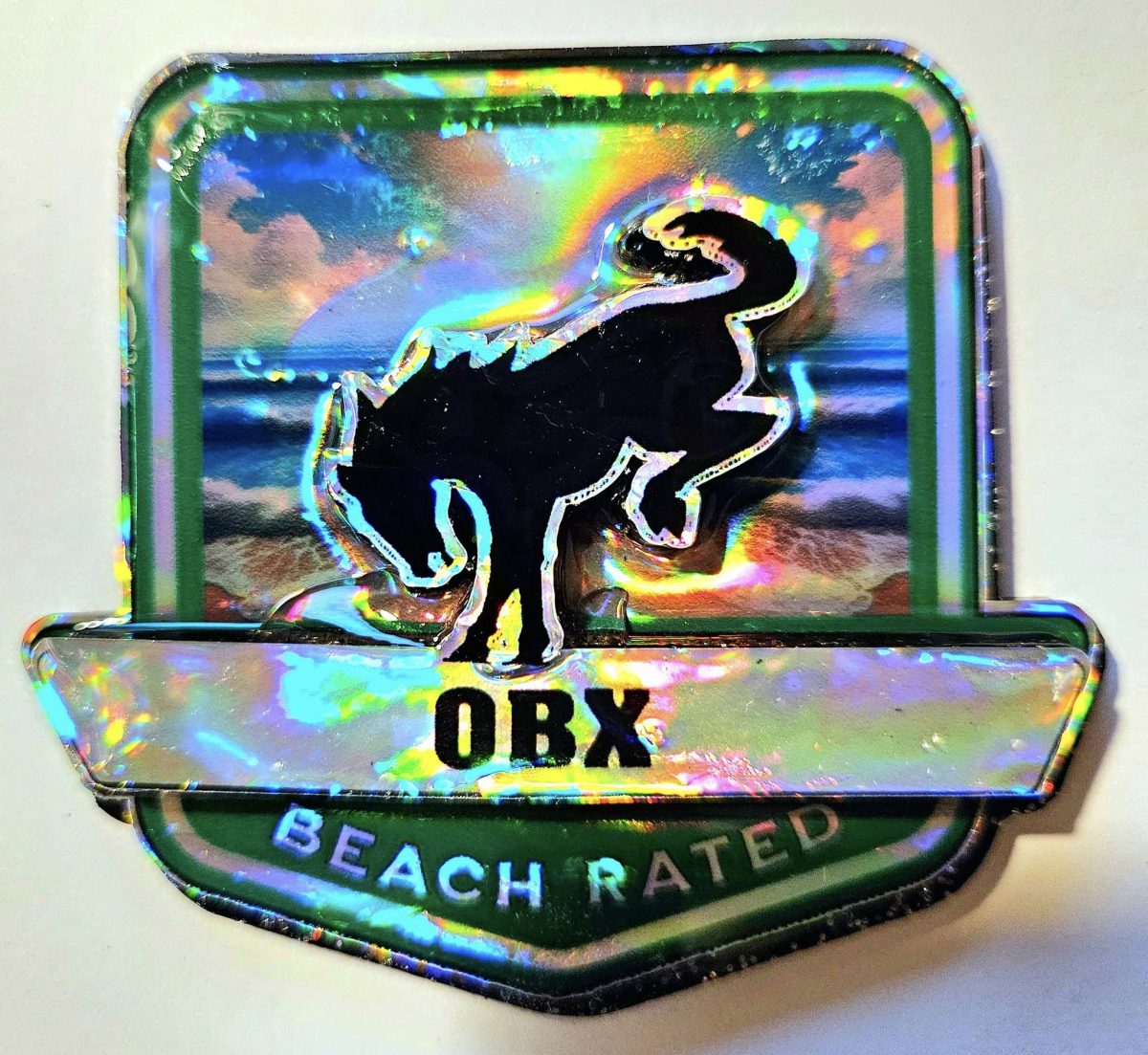 OBX Medallion Bronco