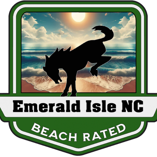 EI Beach Rated Ford Bronco Medallion