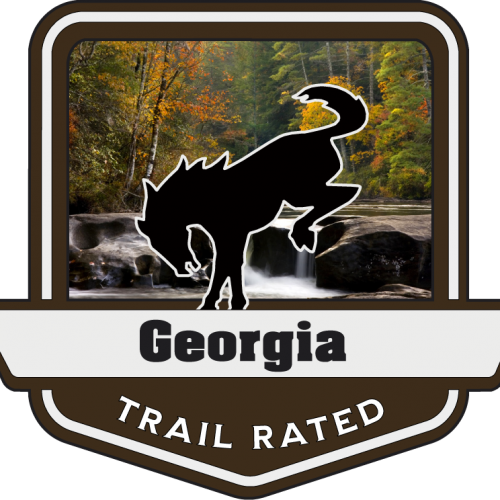 Georgia Trail Rated Bronco Medallion