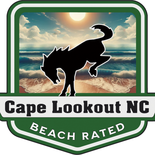 Cape Lookout Beach Rated Bronco Medallion