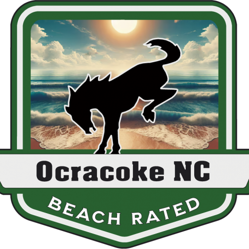 Ocracoke Beach Rated Bronco Medallion