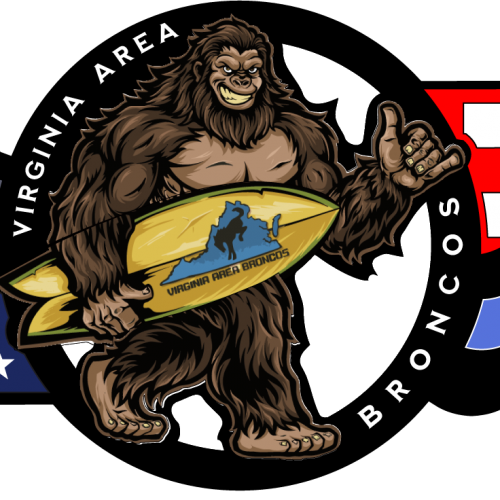 Virginia Area Broncos Mountains to Sea Stars and Bars